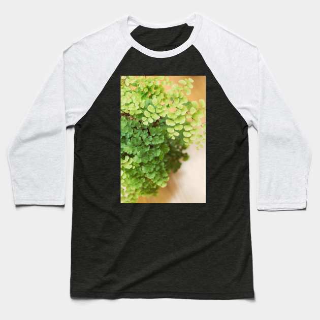 Maidenhair Queen Baseball T-Shirt by Debra Cox 